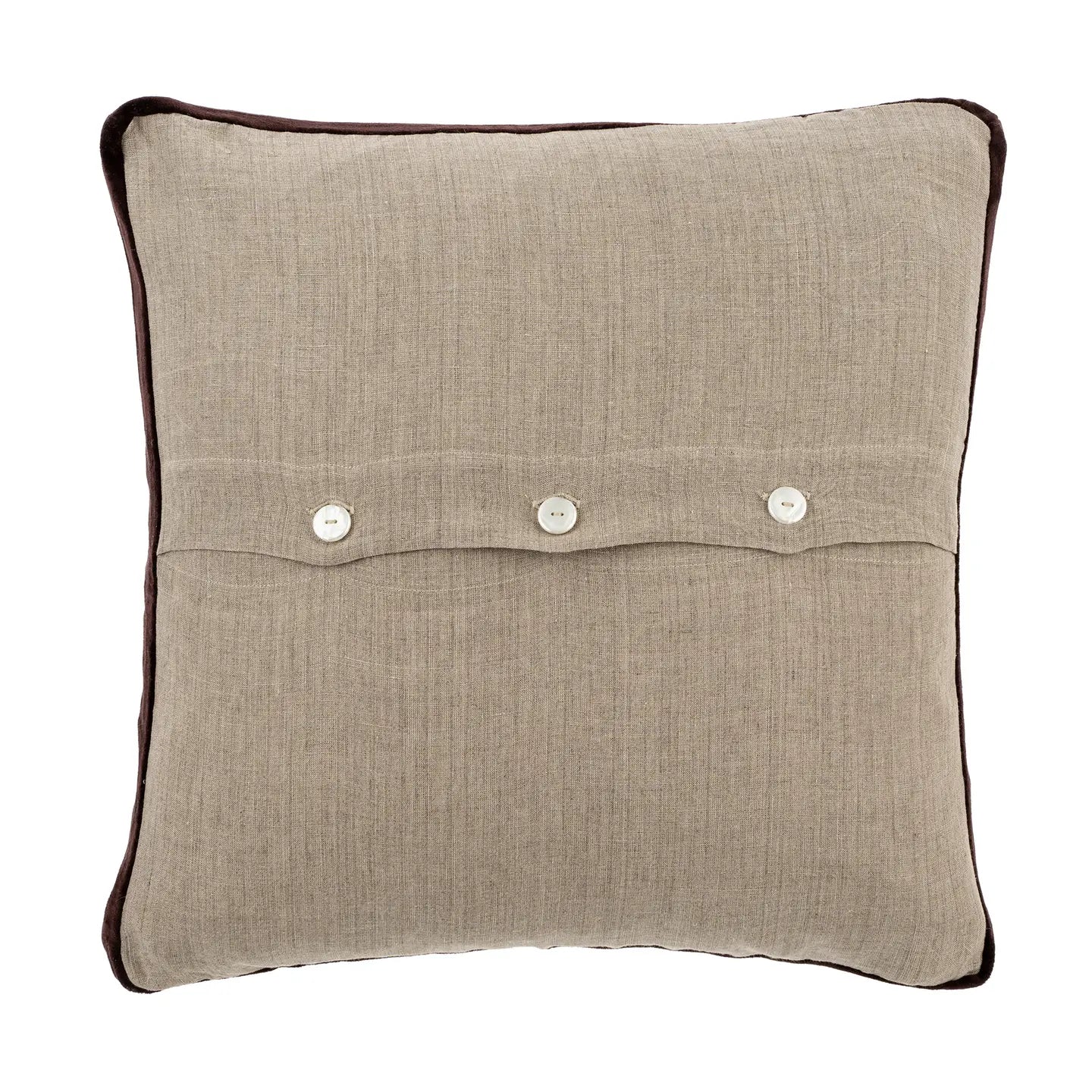 Velvet Trim Pillow